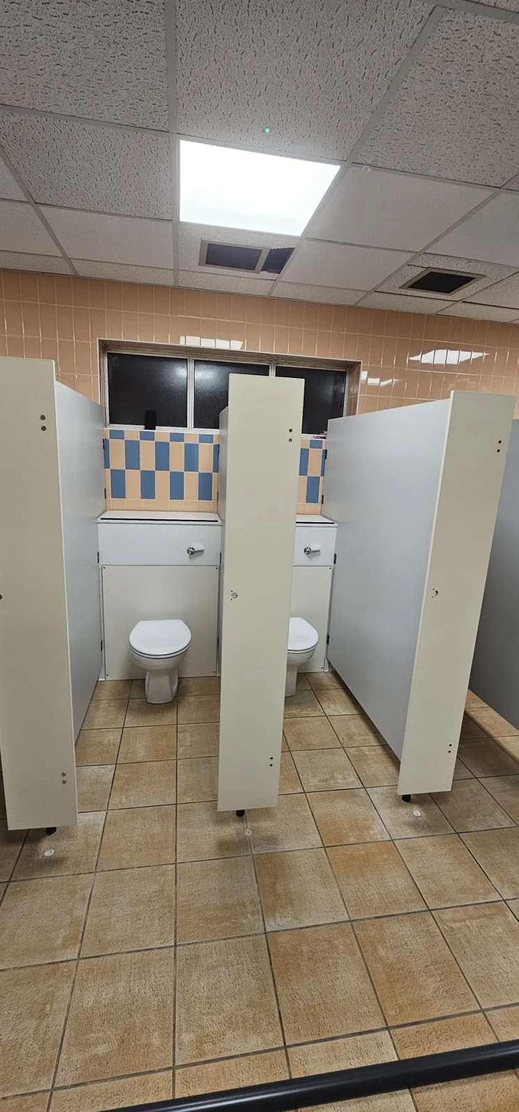 Single toilet cubicle and partition